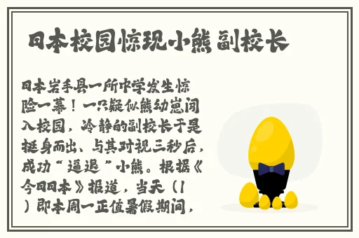 欧洲VODAFONEWIFI粗暴软件